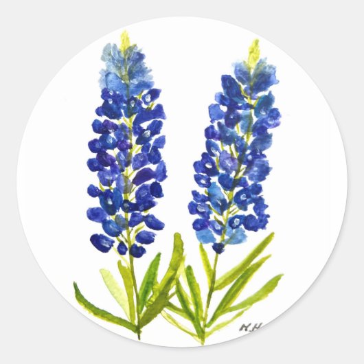 Bluebonnets Texas Staat Blume Lupine Runder Aufkleber (Vorderseite)