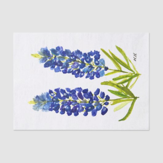 Bluebonnets Texas Staat Blume Lupine Seidenpapier (Vorderseite)