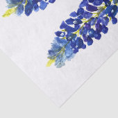 Bluebonnets Texas Staat Blume Lupine Seidenpapier (Ausschnitt)