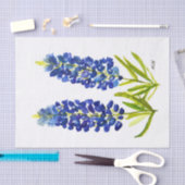Bluebonnets Texas Staat Blume Lupine Seidenpapier (Handwerk)