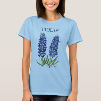 Bluebonnets Texas Wildblumen Lupine