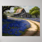 Bluebonnets und alter Stall in Texas Poster (Vorne)