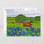 Bluebonnets und Longhorns, Texas Hill Country Postkarte (Vorne/Hinten)