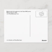 Bluebonnets und Longhorns, Texas Hill Country Postkarte (Rückseite)