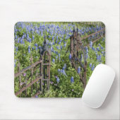 Bluebonnets und Phlox rund um den Friedhof Mousepad (Mit Mouse)