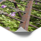 Bluebonnets und Phlox rund um den Friedhof Poster (Ecke)