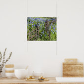 Bluebonnets und Phlox rund um den Friedhof Poster (Küche)