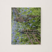 Bluebonnets und Phlox rund um den Friedhof Puzzle (Vertikal)