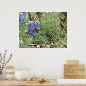 Bluebonnets und Prickly Birne Poster (Küche)