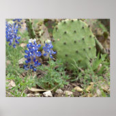 Bluebonnets und Prickly Birne Poster (Vorne)