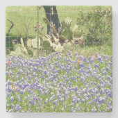 Bluebonnets und Untersetzer aus Kakteen, Marmorste (Vorderseite)