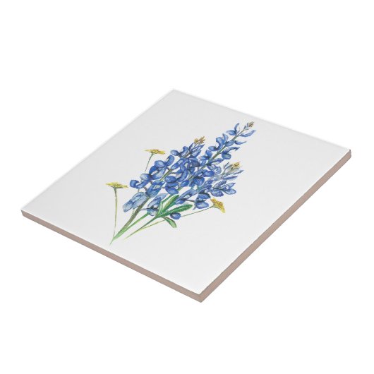 Bluebonnets und Wildblumen Fliese (Seite)