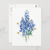 Bluebonnets und Wildblumen Postkarte (Vorne/Hinten)