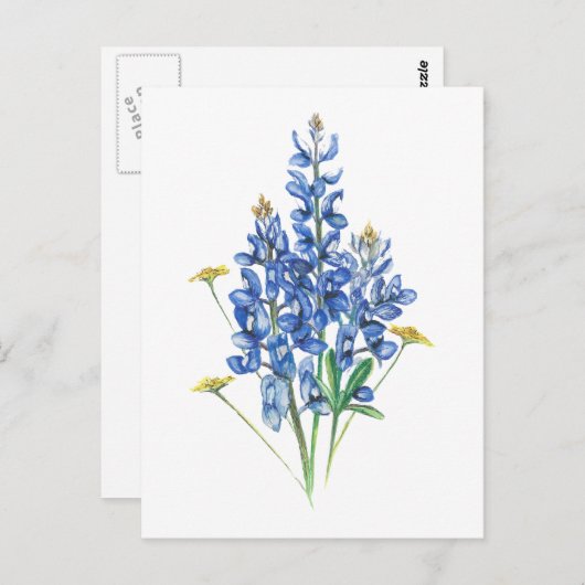 Bluebonnets und Wildblumen Postkarte (Vorne/Hinten)