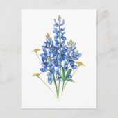 Bluebonnets und Wildblumen Postkarte (Vorderseite)