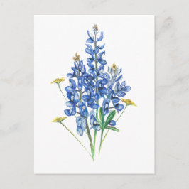 Bluebonnets und Wildblumen Postkarte