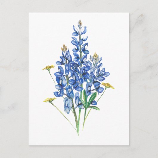 Bluebonnets und Wildblumen Postkarte (Vorderseite)