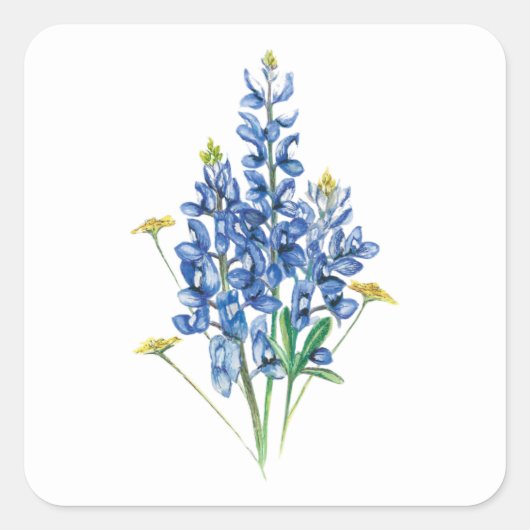 Bluebonnets und Wildblumen Quadratischer Aufkleber (Vorderseite)