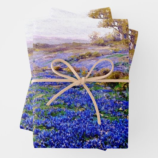 Bluebonnets Wrapping Paper Flat Sheet Set 3 Geschenkpapier Set (Beispiel)