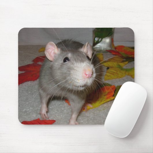 blueboo3 mousepad (Mit Mouse)