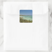 Bluefields, Jamaika, Südwestküste Quadratischer Aufkleber (Tasche)