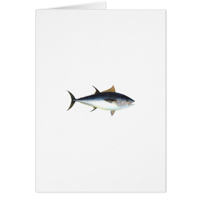 Bluefin-Thunfisch (Vorne)
