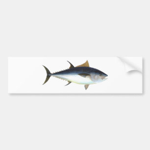 Bluefin-Thunfisch Autoaufkleber