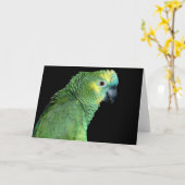 Bluefront Amazon Parrot Notecard Karte (Gelbe Blume)