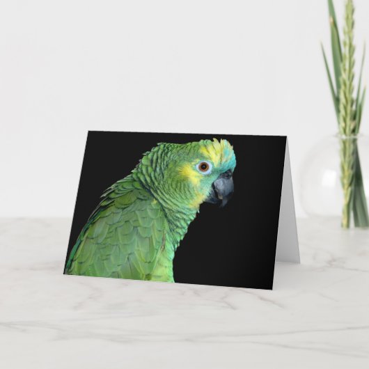Bluefront Amazon Parrot Notecard Karte (Vorderseite)