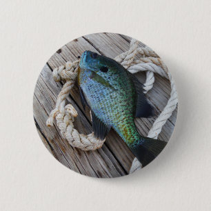 Bluegill auf Dock Button