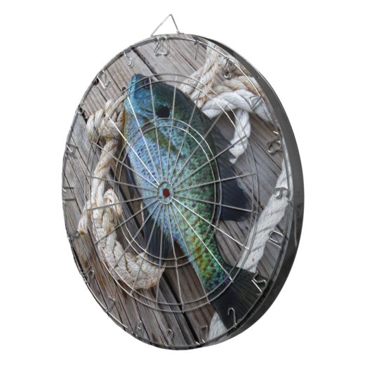 Bluegill auf Dock Dartscheibe (Vorderseite rechts)