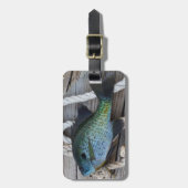 Bluegill auf Dock Gepäckanhänger (Vorderseite vertikal)