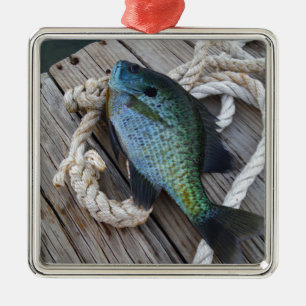 Bluegill auf Dock Ornament Aus Metall