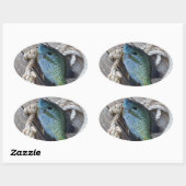 Bluegill auf Dock Ovaler Aufkleber (Blatt)