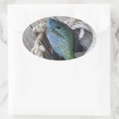 Bluegill auf Dock Ovaler Aufkleber (Tasche)
