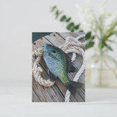 Bluegill auf Dock Postkarte (Stehend Vorderseite)