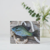 Bluegill auf Dock Postkarte (Stehend Vorderseite)