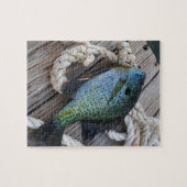 Bluegill auf Dock Puzzle (Horizontal)