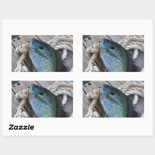 Bluegill auf Dock Rechteckiger Aufkleber (Blatt)