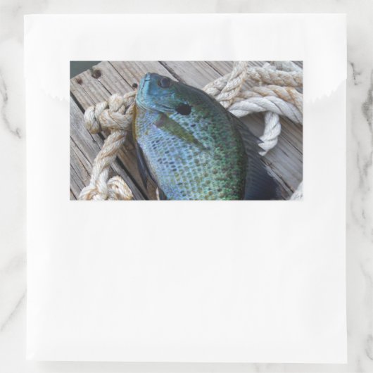 Bluegill auf Dock Rechteckiger Aufkleber (Tasche)