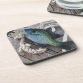 Bluegill auf Dock Untersetzer (Linke Seite)