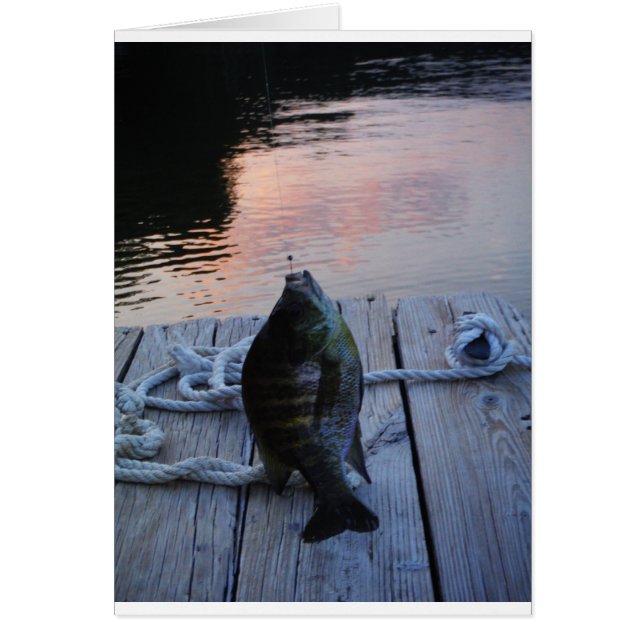 Bluegill bei Sonnenuntergang Lake Arrowhead (Vorne)
