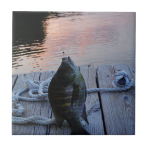 Bluegill bei Sonnenuntergang Lake Arrowhead Fliese