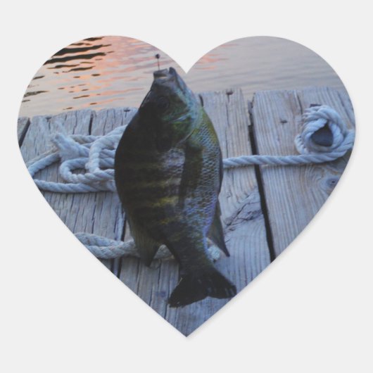 Bluegill bei Sonnenuntergang Lake Arrowhead Herz-Aufkleber (Vorderseite)