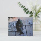 Bluegill bei Sonnenuntergang Lake Arrowhead Postkarte (Stehend Vorderseite)