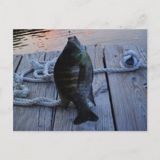 Bluegill bei Sonnenuntergang Lake Arrowhead Postkarte (Vorderseite)