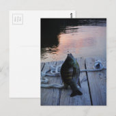 Bluegill bei Sonnenuntergang Lake Arrowhead Postkarte (Vorne/Hinten)