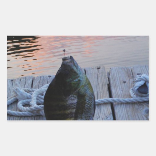 Bluegill bei Sonnenuntergang Lake Arrowhead Rechteckiger Aufkleber (Vorderseite)