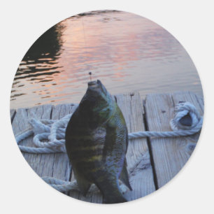 Bluegill bei Sonnenuntergang Lake Arrowhead Runder Aufkleber