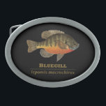 Bluegill Bream Fishing Ovale Gürtelschnalle<br><div class="desc">DER BLUEGILL. lateinische Bezeichnung: Lepomis macrochirus. Ob Fliegenfischen oder Angeln mit Angeln oder Köder,  Ichthyologe oder einfach nur Liebe Fisch,  dieses Design,  das eine große Brasse aus einem originalen Aquarellbild von Doug Shultz,  Trout Whiskers,  bietet,  wird Ihnen gefallen. Gutes Geschenk für deinen Lieblings-Fischer. Shopping ForeutWhiskers für andere einzigartige Angelausrüstung.</div>